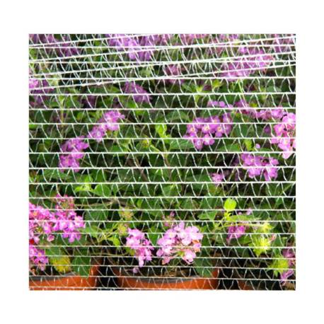 Film filet alimentaire